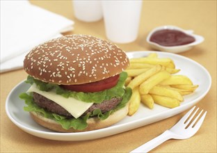 Plate with hamburger and fries
