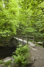 Ash Bridge over the East Lyn River at Barton Wood in Exmoor National Park near Watersmeet