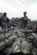 Unloading Pineapple at Koyambedu whole sale vegetable and fruit market is one of Asia's largest perishable goods market complex located in Chennai Madras