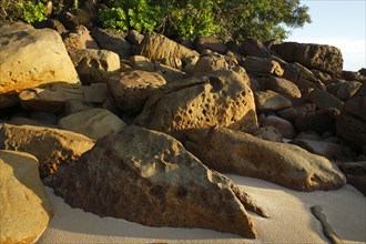 Beach with rocks and rainforest