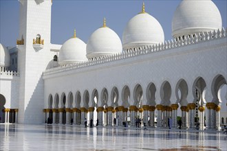 Sheikh Zayid Mosque