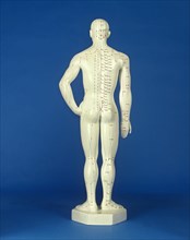 Man statuette shows acupuncture points