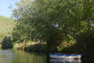 Small lake with rowing boat