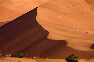 Sossulsvlei dunes in the Namib Desert