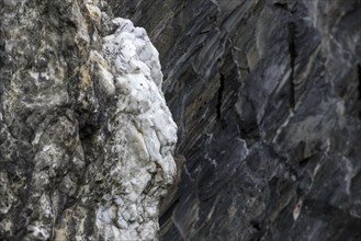 White quartz vein in rock face at Ballachulish shale quarry in Lochaber