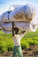 Nepalese man from the Tharu ethnic group carrying large handkerchief roll on his head