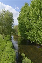Niers near Grefrath-Muelhausen