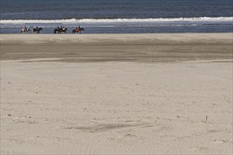 Horse-rider am Strand