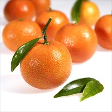 Clementine Fruits