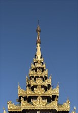Ornate roof