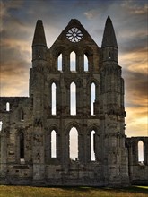 Gothic Abbey Ruin