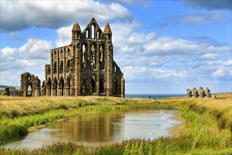 Ruin of the Gothic monastery Whitby Abbey with visitors