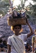 Fisher woman carrying fish on head
