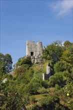 Bichishausen castle ruins