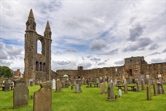 Ruined Cathedral and Graveyard