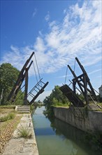 Pont van Gogh near Arles