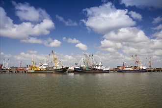 Fishing vessels in the fishing harbour of Roemoe