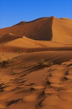 The Great Merzouga Dune