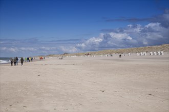Sandy beach beach at the Hoernumer Odde