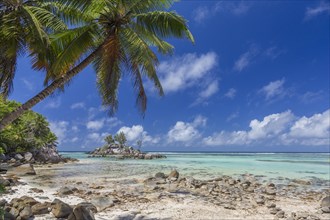 Beach Anse Royale