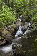 Mountain stream Hoellbach