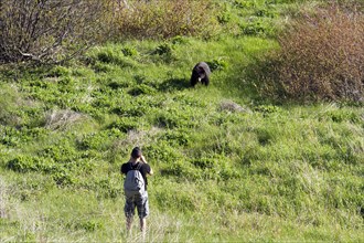 Man watching black bear
