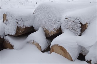 Wood pile covered with snow