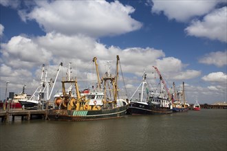 Fishing vessels in the fishing harbour of Roemoe