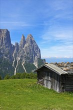 Alpine pasture on the Alpe di Siusi with Sciliar