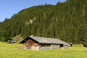 Alpine hut