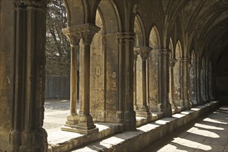 Cloister of the Cathedral St. Trophime in Arles