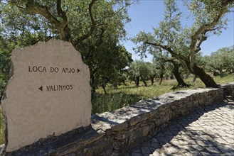 Signpost at the Way of the Cross