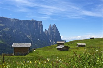 Alpine hut on the Alpe di Siusi with Sciliar