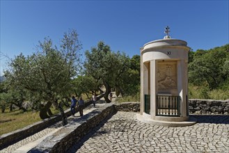 Way of the Cross