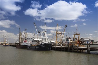 Fishing vessels in the fishing port of Roemoe