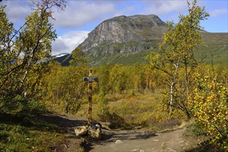 Trekking Nikkaluokta