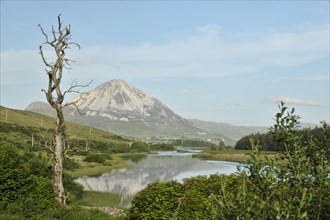 View of Mount Errigal from Gweedore