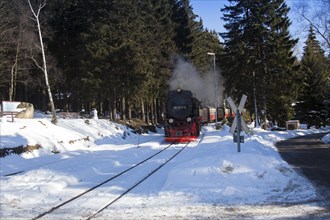 Brockenbahn at Schierke station on the way to the summit