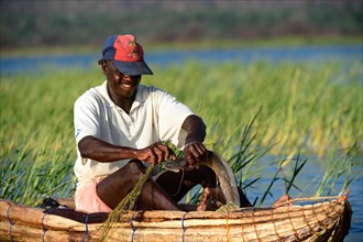 Fisherman catching fish on Baringo lake