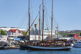Old fishing boats are used for whale-watching