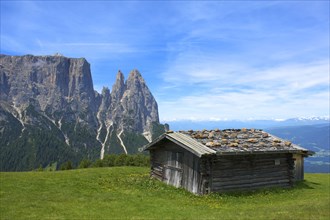 Alpine pasture on the Alpe di Siusi with Sciliar
