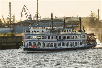 Paddle steamer Lousiana European Starling
