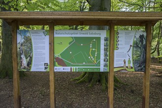 Information board at the entrance to the primeval forest Sababurg