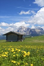 Alpine huts on the Alpe di Siusi with the Sella Group