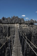 Suspension bridge over gorge