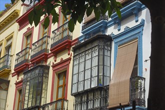 Typical balconies in Hernando Colon Street