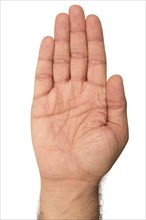Palm side of hand on white background