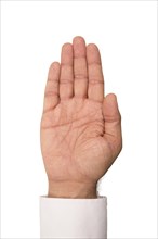Palm side of hand on white background