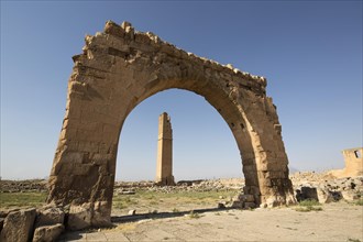 Ruins of Harran University in Harran Tumulus