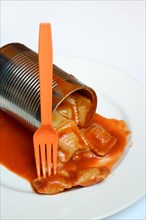Opened tin can with ravioli and fork on plate
